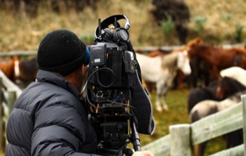  BRAVO: Keeping up with the Kaimanawas. Filming at the famous horse muster on army training grounds in Waiouru. DOP for the series commisioned for TVNZ 